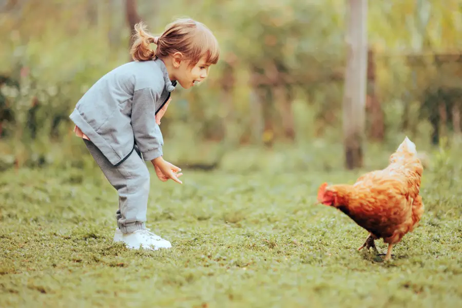 8 Reasons to Get Backyard Chickens