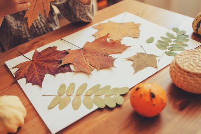 Easy DIY Fall-Inspired Crafts for Kids